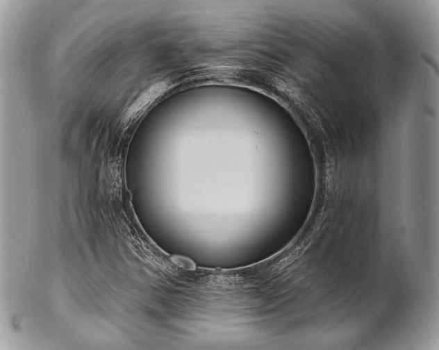 X0000102811354200808181213