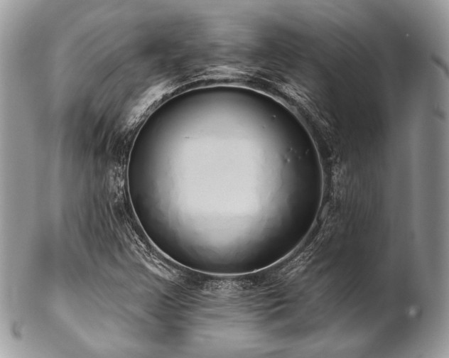 X0000102811355200808181213