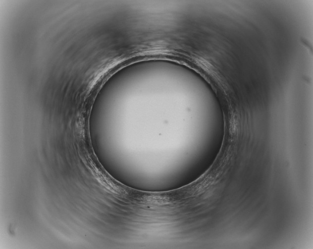 X0000102811356200808181213