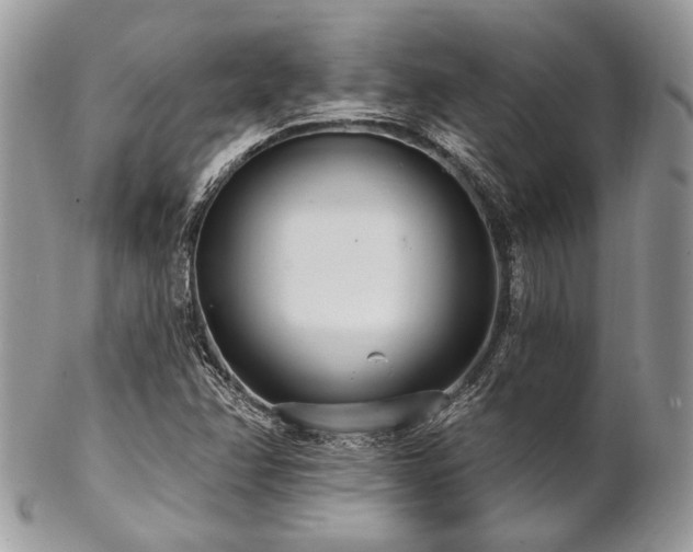 X0000102811358200808181213