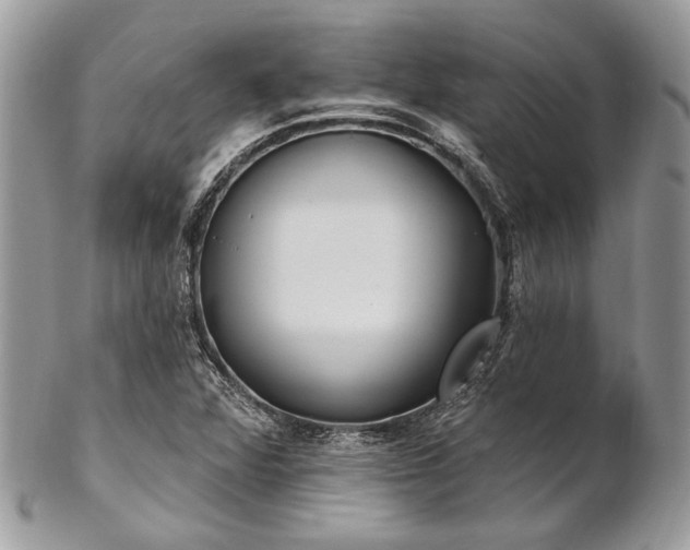 X0000102811360200808181213