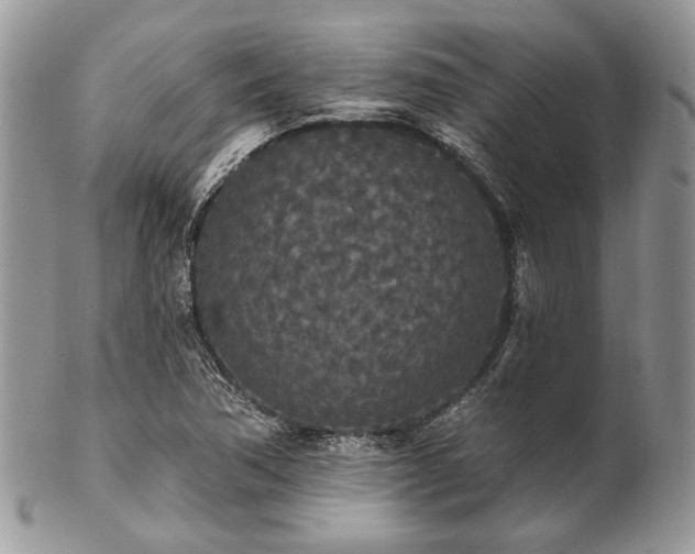 X0000102811362200808181213