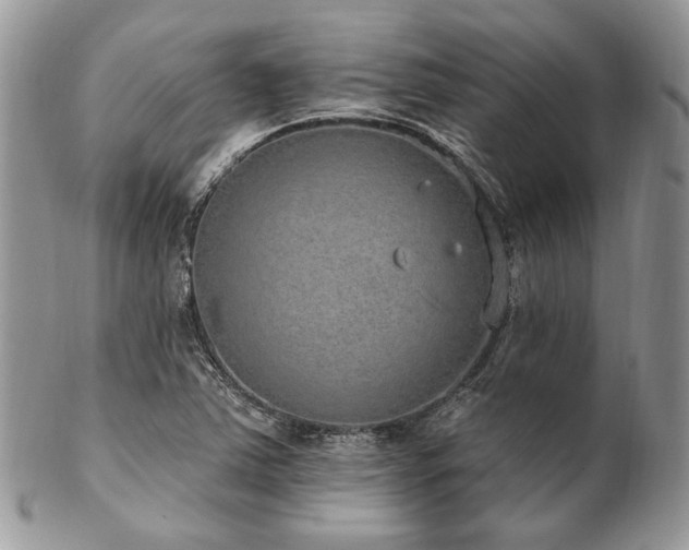 X0000102811363200808181213