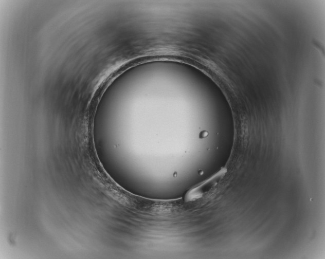 X0000102811364200808181213