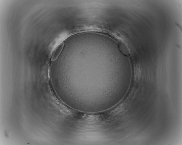 X0000102811365200808181213