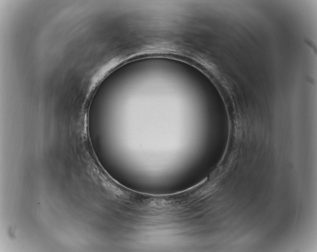 X0000102811366200808181213