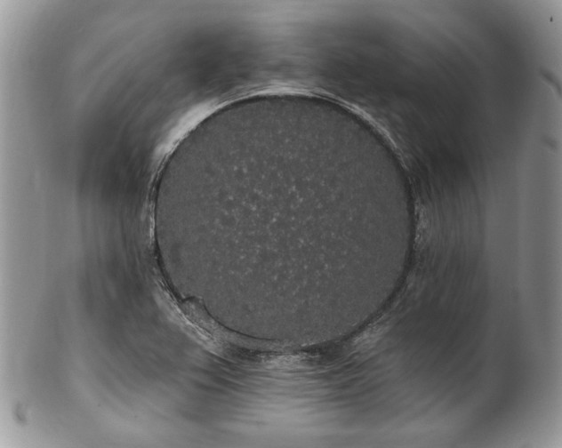 X0000102811367200808181213