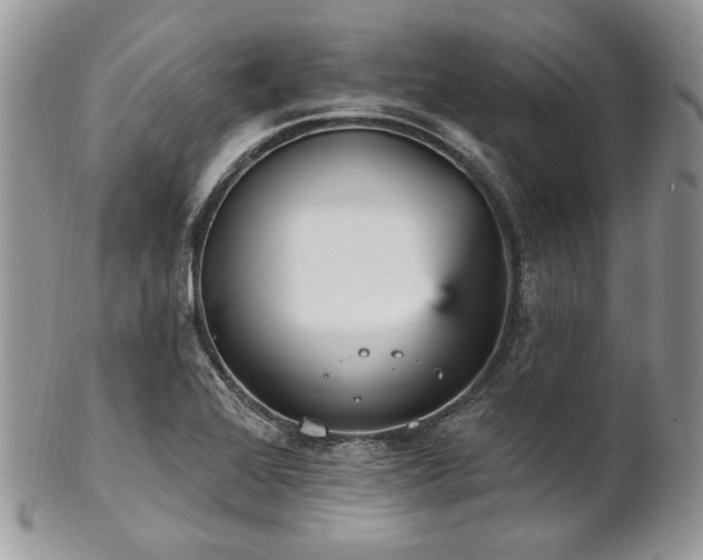 X0000102811368200808181213