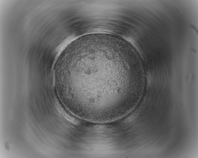 X0000102811371200808181213