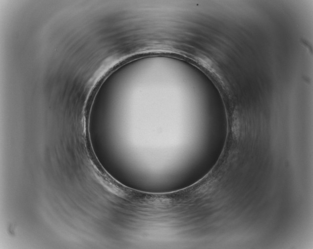 X0000102811372200808181213