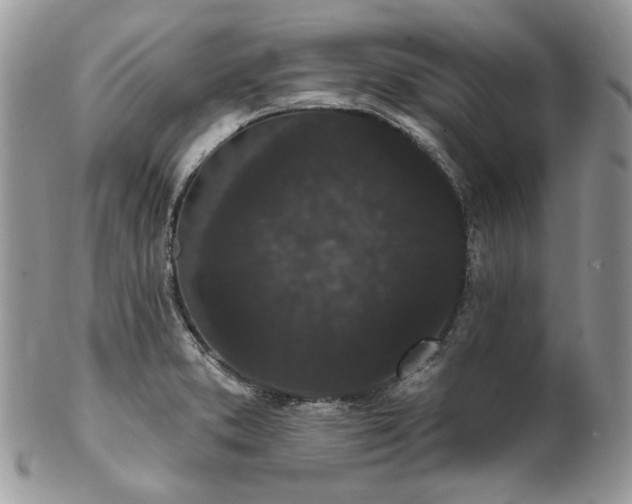 X0000102811373200808181213