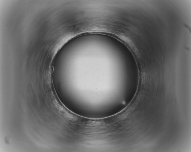 X0000102811374200808181213