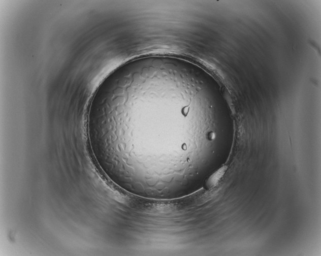 X0000102811375200808181213