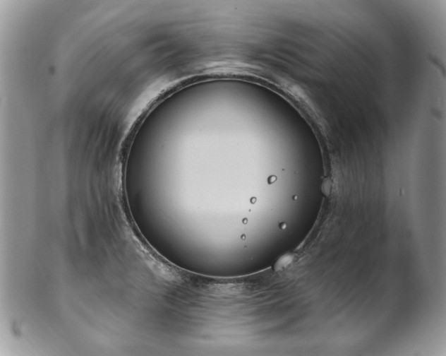 X0000102811376200808181213