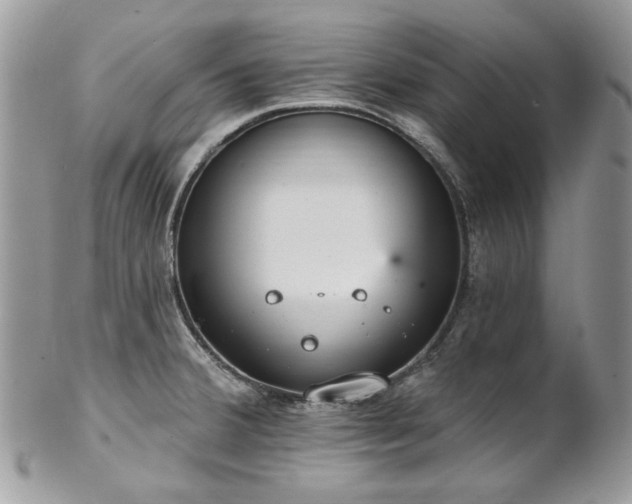 X0000102811380200808181213