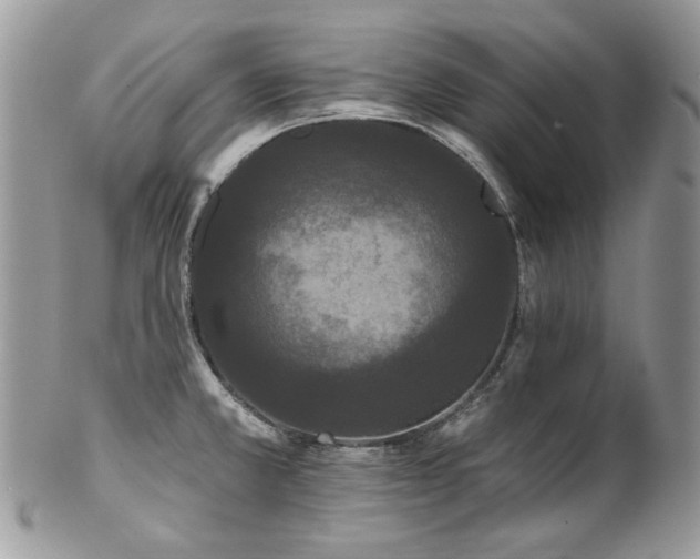 X0000102811381200808181213