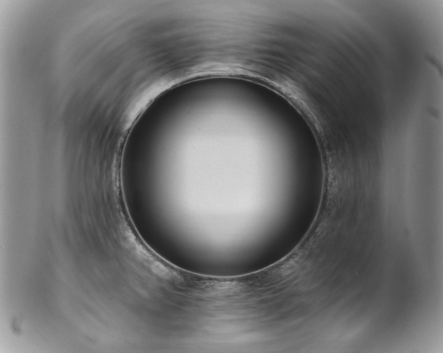 X0000102811382200808181213