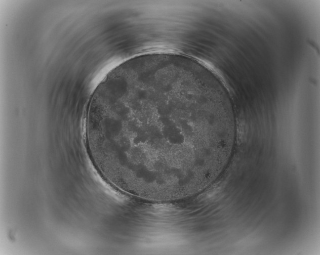 X0000102811383200808181213