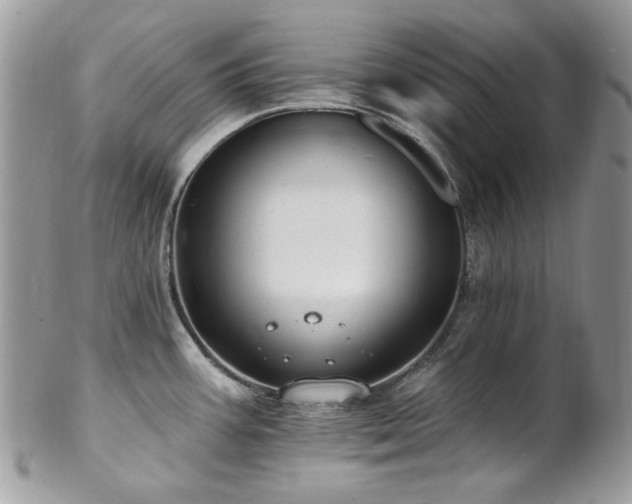 X0000102811387200808181213