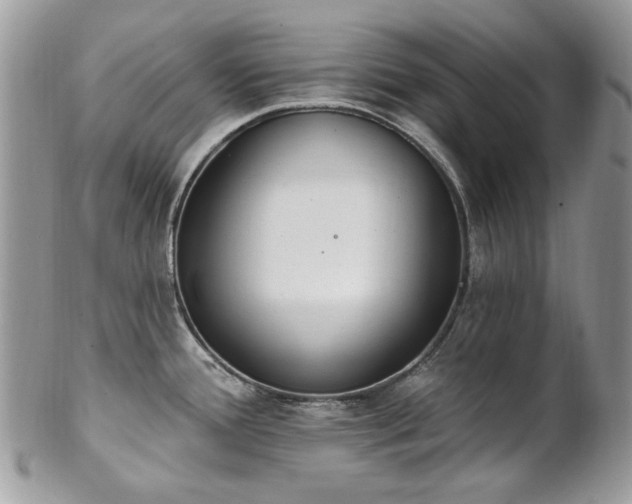 X0000102811388200808181213