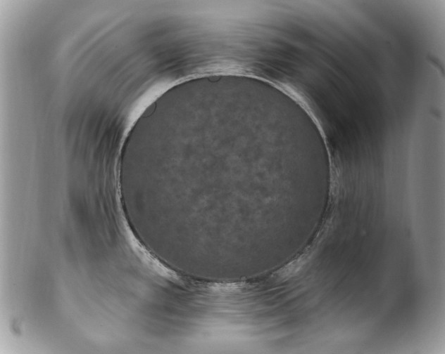 X0000102811389200808181213