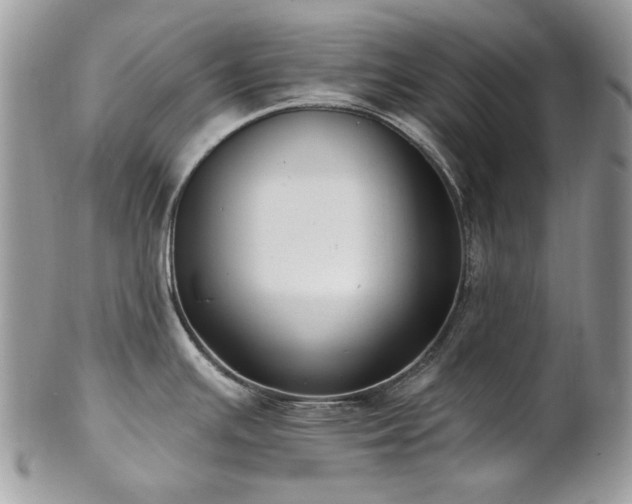 X0000102811391200808181213