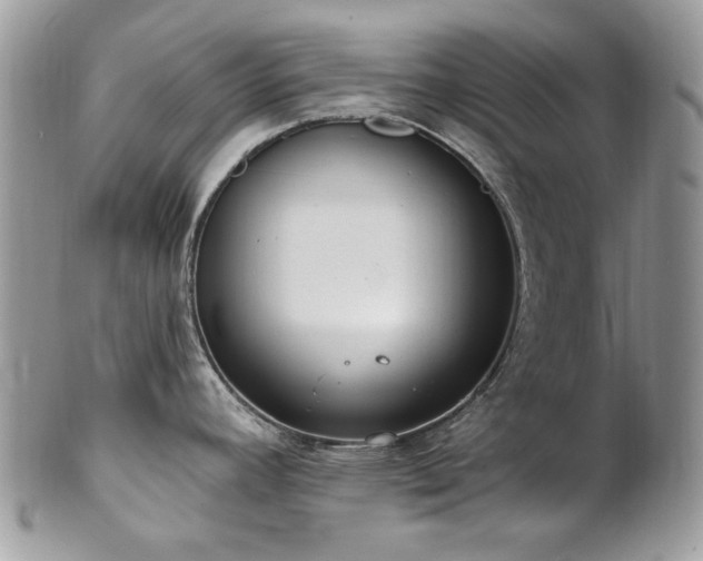 X0000102811392200808181213