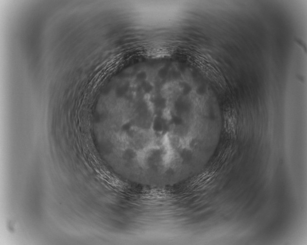 X0000102811393200808181212