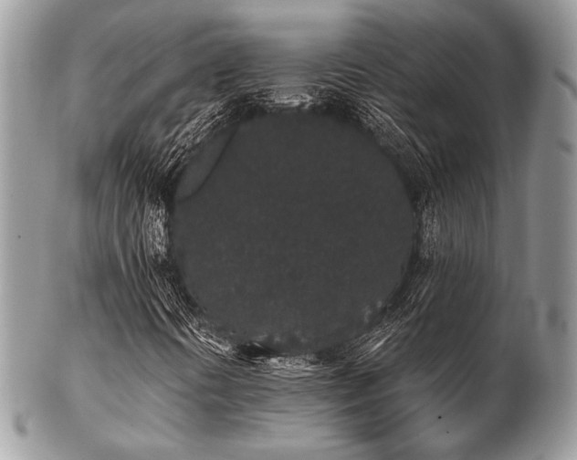 X0000102811394200808181212