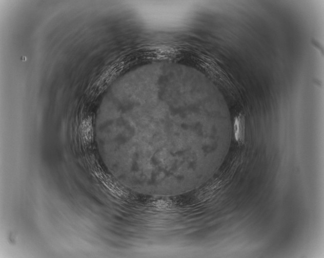 X0000102811395200808181212