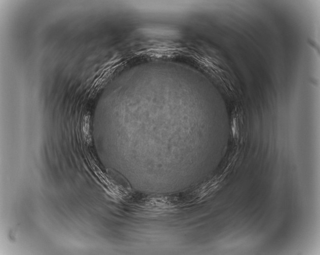 X0000102811396200808181212