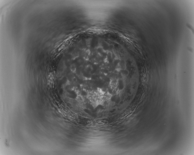 X0000102811397200808181212