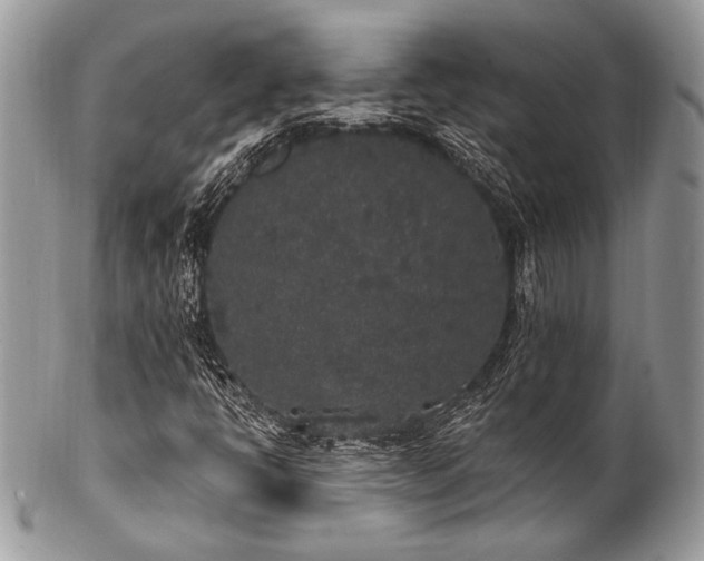 X0000102811398200808181212