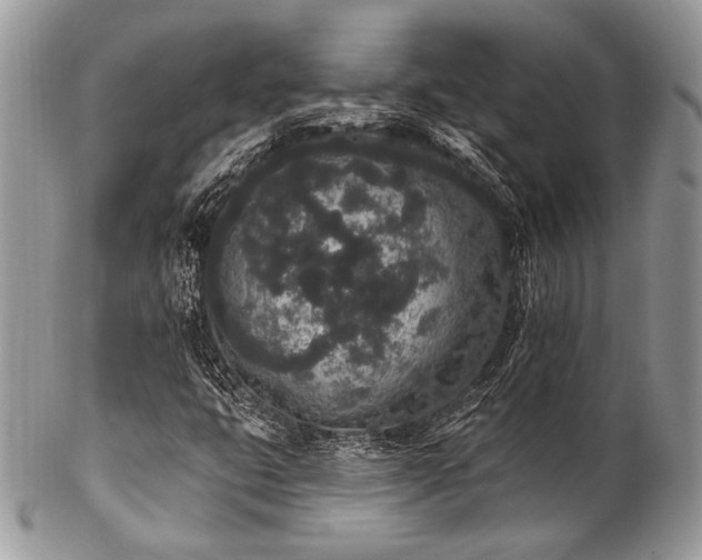 X0000102811399200808181212