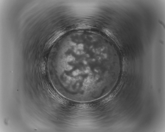 X0000102811401200808181212