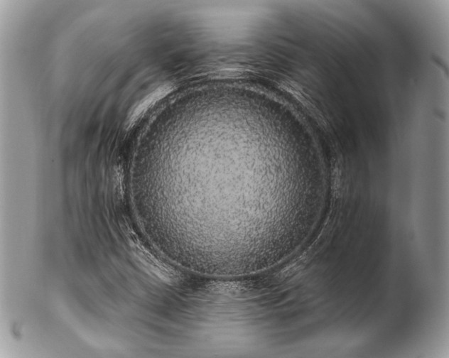 X0000102811402200808181212