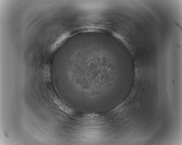 X0000102811403200808181212