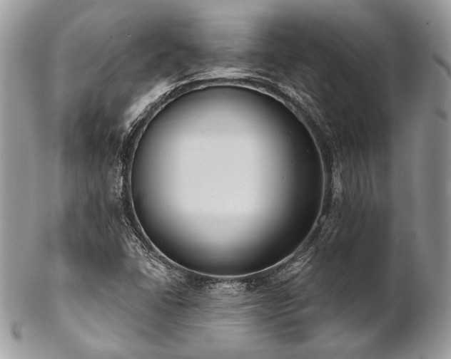 X0000102811406200808181212