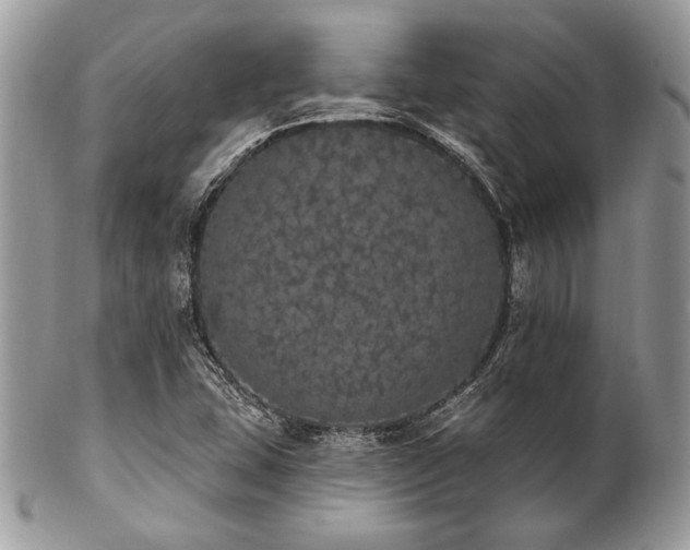 X0000102811407200808181212