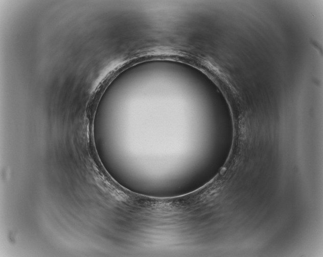 X0000102811408200808181212