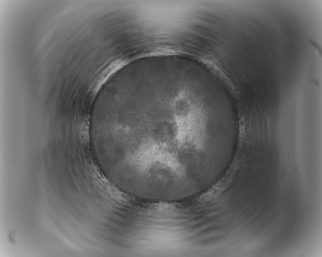 X0000102811409200808181212