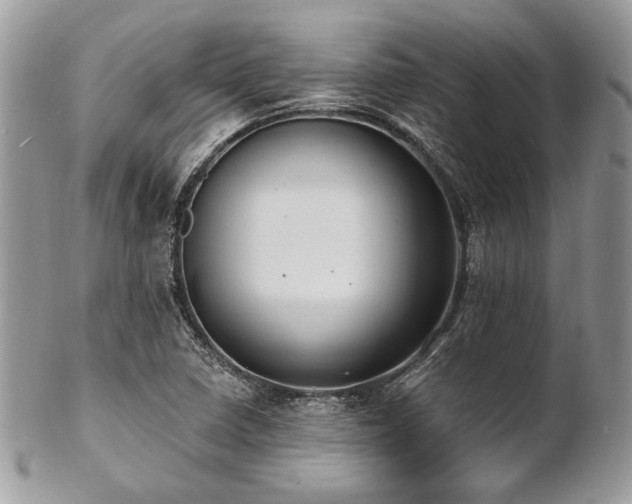 X0000102811410200808181212