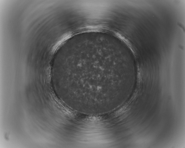 X0000102811411200808181212