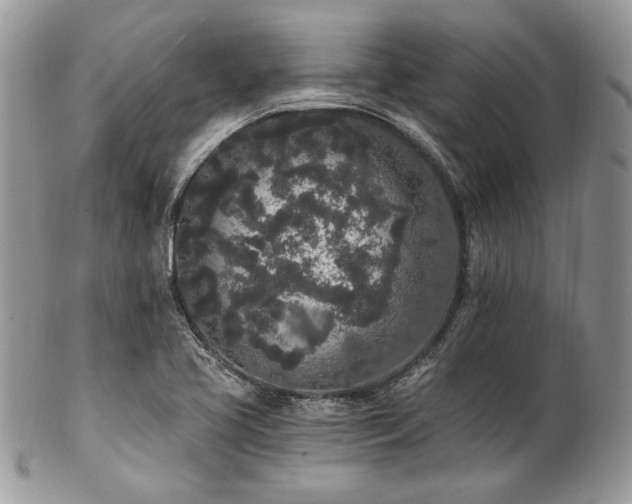 X0000102811413200808181213