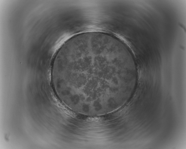 X0000102811415200808181213