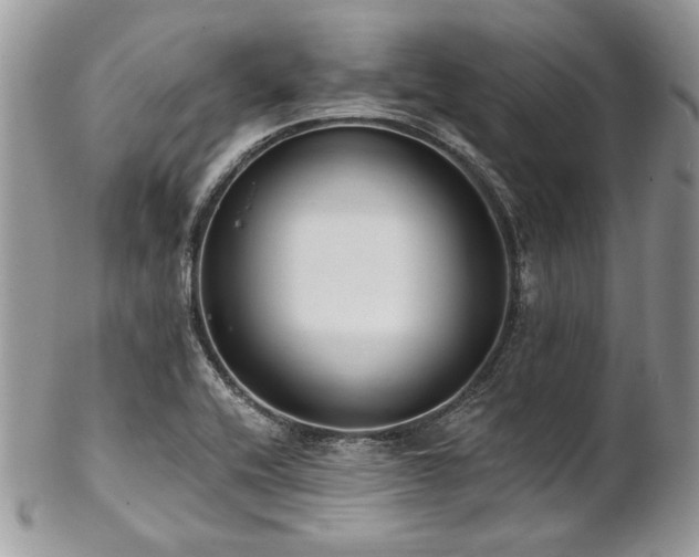 X0000102811416200808181213