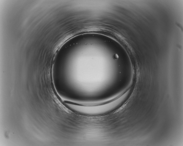 X0000102811417200808181213