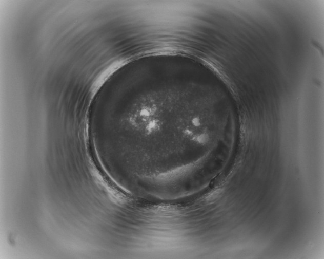 X0000102811418200808181213