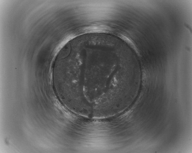 X0000102811419200808181213