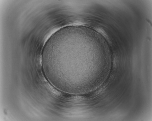 X0000102811420200808181213